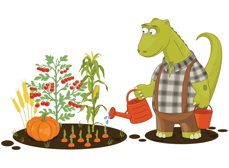 Organic Fertilizer - Agriculture - Garderžn